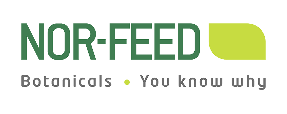 nor-feed logosu