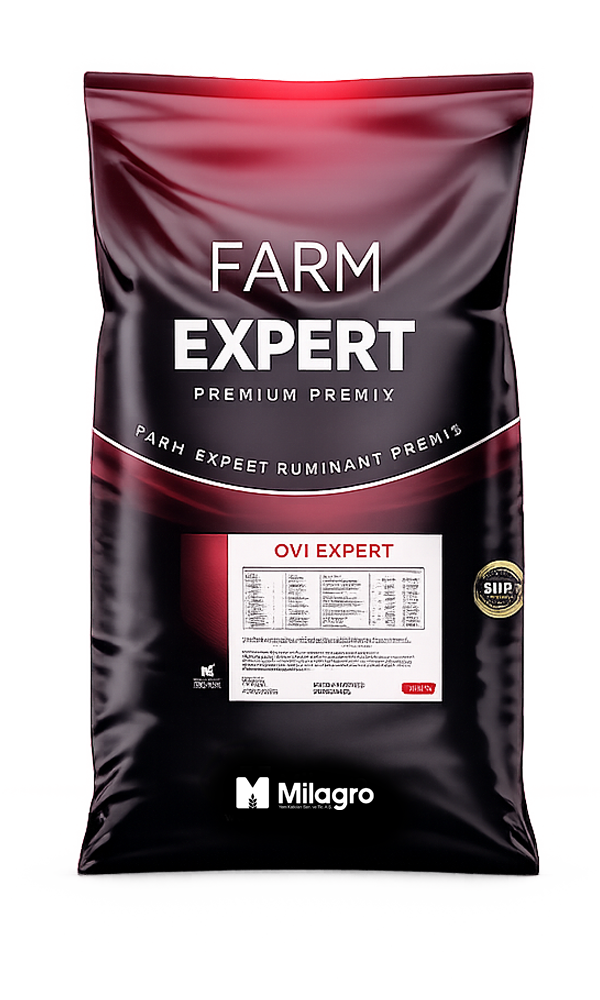 Ovi Expert