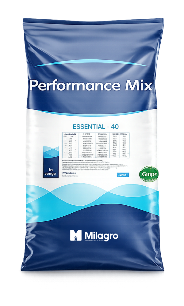 Essential - 40