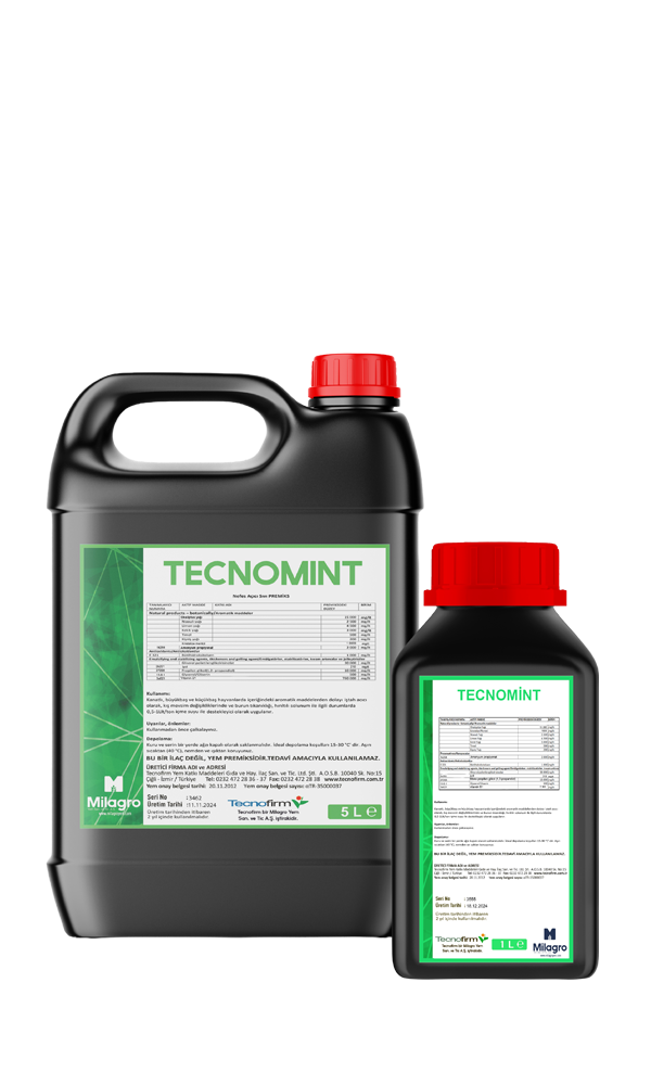 TECNOMİNT