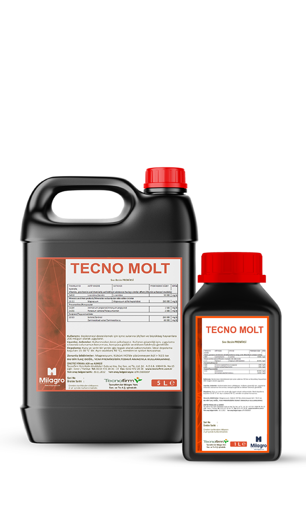 Tecnomolt