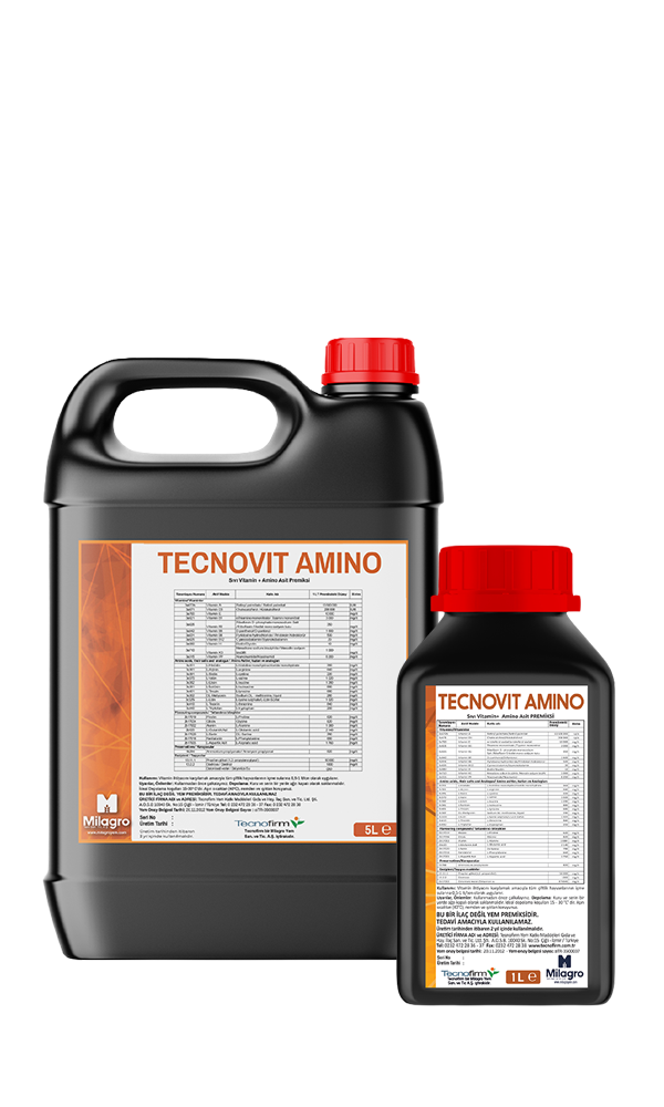 Tecnovit Amino Kanatlı