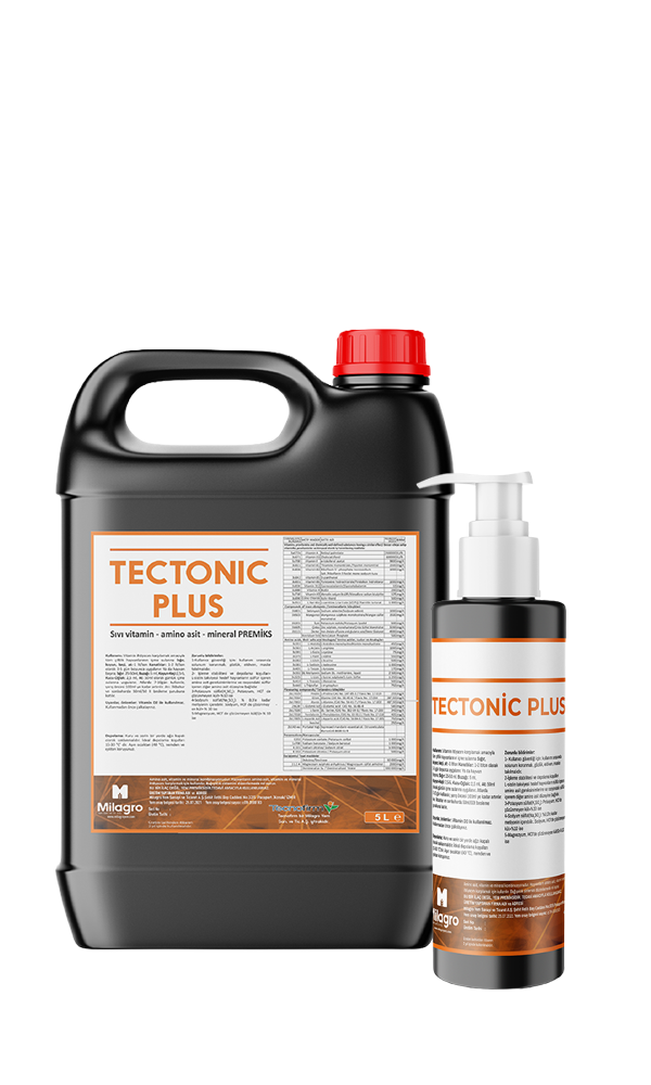 Tectonic Plus Kanatlı