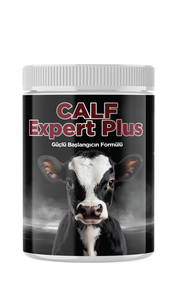 Calf Expert Plus