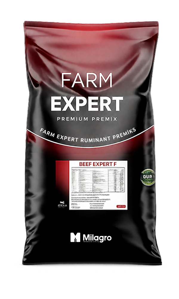 Beef Expert F
