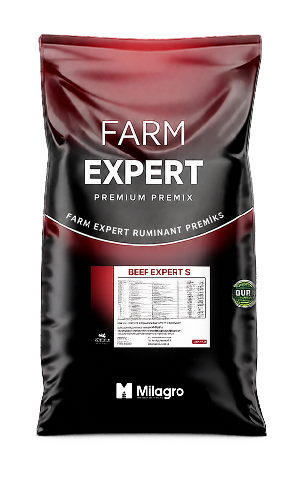 Beef Expert S